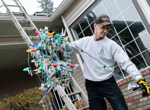 How Professional Holiday Lights Decorators Work Their Magic