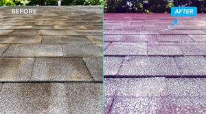 Understanding Low pressure House Washing